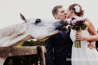 Юлия Красникова Поженились Фото Свадьбы